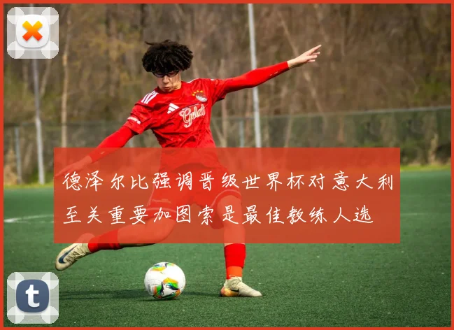 德泽尔比强调晋级世界杯对意大利至关重要加图索是最佳教练人选