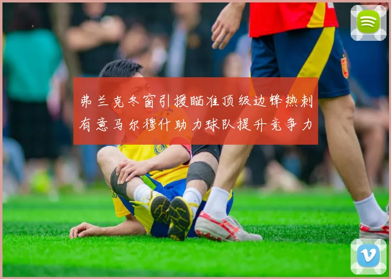 弗兰克冬窗引援瞄准顶级边锋热刺有意马尔穆什助力球队提升竞争力